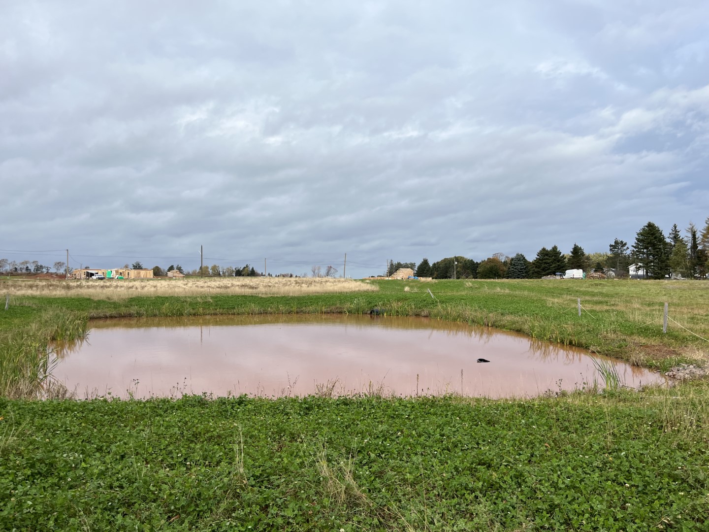 Scottsview Meadows drainage management pond.