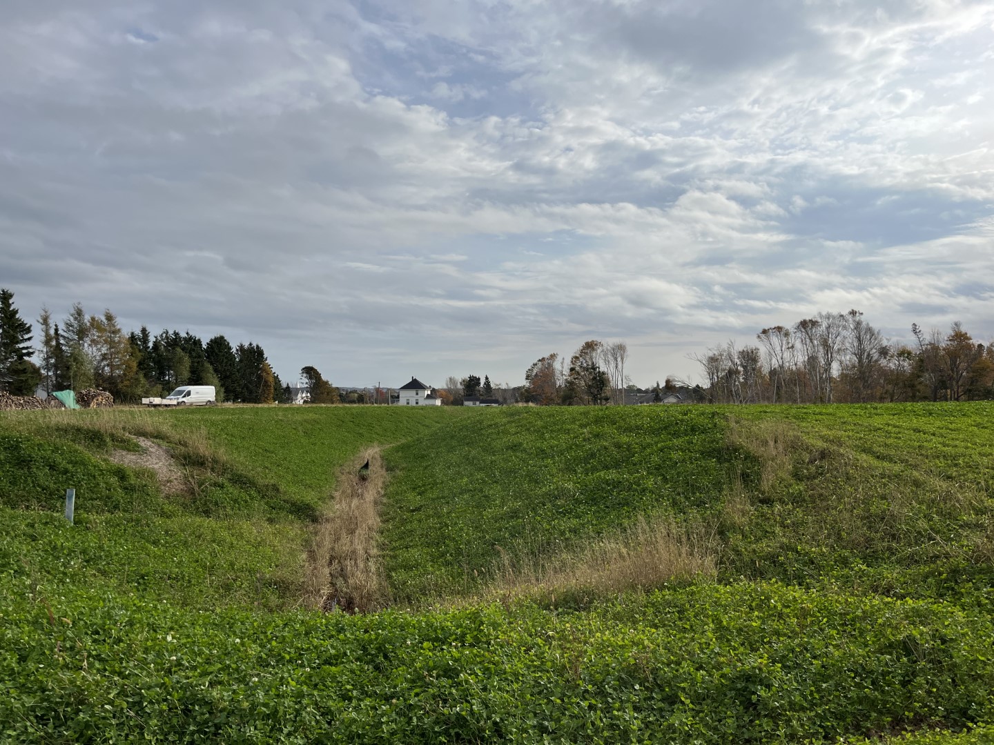 Scottsview Meadows drainage ditch covered with grass.