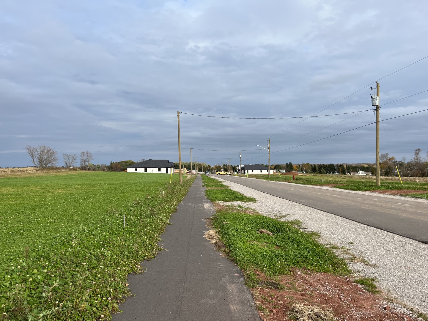 Scottsview Meadow road ready for new homes with some already built.