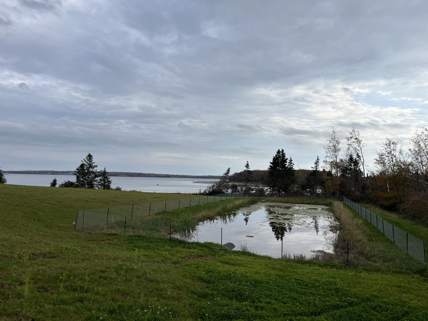 West River drainage control pond.